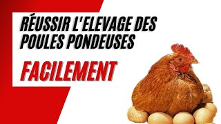 Comment Bien Débuter lElevage des Poules Pondeuses en 5 Etapes [upl. by Cirda]