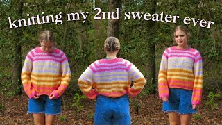 knitting a sweater in 2 weeks  Sweater no 6 vlog [upl. by Jesus]