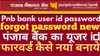 How to Pnb bank user id forgot user id [upl. by Apoor]