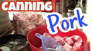 Pressure Canning Pork  BBQ Seasoning  Food Storage [upl. by Dyanne611]