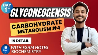 gluconeogenesis biochemistry  gluconeogenesis pathway biochemistry  carbohydrate metabolism bio [upl. by Prescott]