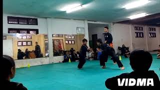 pengenalan sparing pencak silat psht pshtcimahi pshtkid pshtjaya [upl. by Enymsaj]