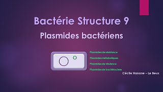 Bactérie Structure 9 MATERIEL GENETIQUE  PLASMIDES sans musique de fond [upl. by Akimas]