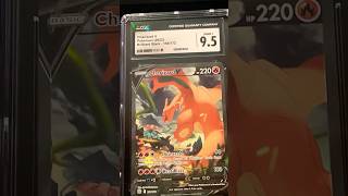 Graded Charizards“it’s just 1” pokemon charizard collection pokemoncards ytshorts pokmontcg [upl. by Shanan]