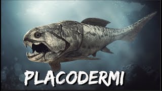 Placodermi  Documentary [upl. by Anerev]