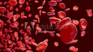 4K red blood cells flowing through vein biology animation medical health care 3d Stock Video [upl. by Twedy]