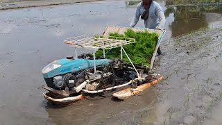 Mesin Tanam Padi Canggih Ala Jepang Kubota Rice Transplanter SPW 48 [upl. by Hilda]