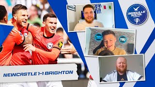 The Final Away Day Of The Season  Newcastle 11 Brighton  SEAGULLS SOCIAL  S4  EP42 [upl. by Rebah]