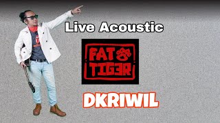 Live Acoustic Fat Tiger [upl. by Aronal]