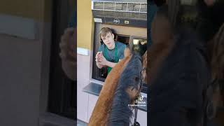 horse lady mad funnyshorts funnymemes women horse mcdonalds [upl. by Ainer]