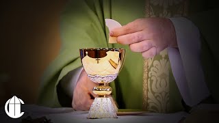 Catholic Mass Today 111724  ThirtyThird Sunday in Ordinary Time [upl. by Hinckley]