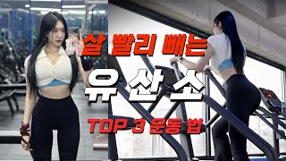 먹어도 살이 찌지 않았던 이유  살 빠지는 유산소 방법 공개 🏃🏻‍♀️🔥 [upl. by Verda]