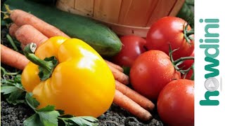 Organic gardening How to grow an organic vegetable garden [upl. by Dodwell]