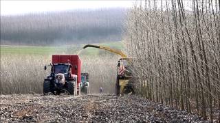 AVG erntet Energiewald in Großostheim [upl. by Ynnavoj]