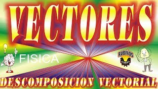 Vectores  Descomposición Vectorial  Teoría y Ejercicios Resueltos de física [upl. by Natanoj]