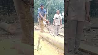 Geat ‼️splitting large wood saw blade [upl. by Marlon]