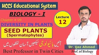 Seed Plants Spermatophytes Evolution of SeedsCh8DIVERSITY IN PLANTS 1ST YEAR Dr IJAZ LEC12 [upl. by Dragone]