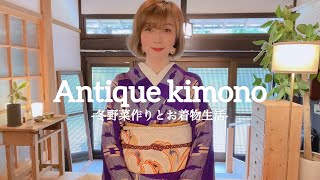 【着物】アンティークのお着物と冬野菜作り着物 kimono 着物生活 [upl. by Tannen882]