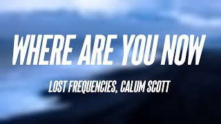 Where Are You Now  Lost Frequencies Calum Scott Lyrics 🏕 [upl. by Fernandes68]