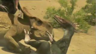 A Epic Battle of Velociraptor vs Protoceratops [upl. by Hopper925]