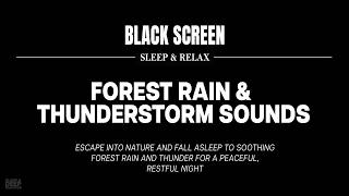 Fall Asleep Fast to Forest Rain and Thunderstorm  Black Screen Sounds for Sleep [upl. by Mali]