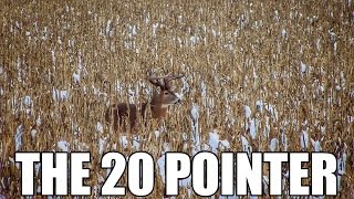 THE 20 POINTER Giant Buck Harvested in the Snow [upl. by Halden953]