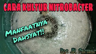 CARA KULTUR NITROBACTER [upl. by Freda]