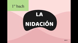 LA NIDACIÓN 1º BACH ANATOMÍA [upl. by Hsoj]