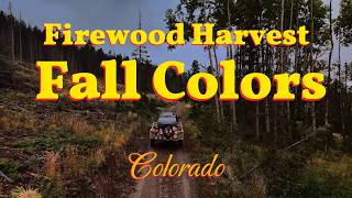 Firewood gathering in the mountains Colorado at the start of the fall colors [upl. by Julina]