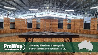 ProWay Shearing Shed and Sheepyards  Salt Creek Merino Stud  Woorndoo VIC Australia [upl. by Laen103]