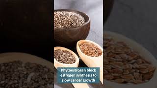 Phytoestrogen in Flax Seeds Can Inhibit Cancer Cells [upl. by Nileuqaj930]