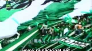 atletico nacional canciones [upl. by Alyssa291]