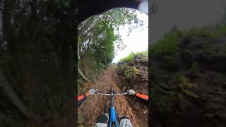 La Palma MTB mtb mtblife lapalma gopro gopromtb gopromax mtblifestyle [upl. by Helprin]