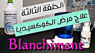 علاج مرض الكوكسيديا25 Baycox الحلقة 3️⃣ تبيض وتطهير الطيور blanchiment [upl. by Evreh23]