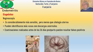 Enfermedades Puerperales Parte 2 Endometritis Bovina [upl. by Witty]