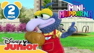 MiniMupparna  Gonzo och potatisen 🥔 Disney Junior Sverige [upl. by Kruger]