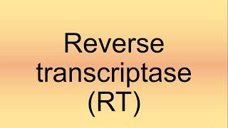 Reverse Transcriptase RT Pronunciation  How to Say  How to Pronounce [upl. by Hgiel]