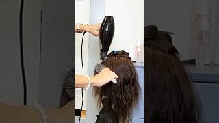 Smooth Straight Blowdry blowdry straighthair hairstyles hairtutorial haircare coachkimmy [upl. by Seira207]