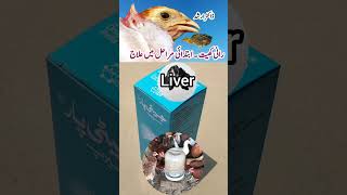 Symptomatic Treatment of Newcastle Disease in Poultry Birds  ND in Chickens  Dr ARSHAD [upl. by Notluf689]