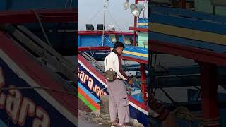 Edisi bongkar ikan lagi shorts viralshorts [upl. by Dorcas957]