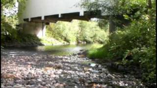 Earnest Covered Bridge Marcola Oregon [upl. by Aisanahta]