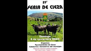 29ª Feria de Cieza 2024 [upl. by Ahsenre]