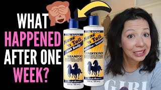 HAIR LOSS SUFFERER REVIEWS MANE AND TAIL SHAMPOO  CONDITIONER BEFORE and AFTER and TRUTHS 2020 [upl. by Zerimar]