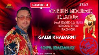 Cheikh Mourad Djaja 2024 amp Hamid la main  Galbi Khabetni LIVE STUDIO [upl. by Ronile227]