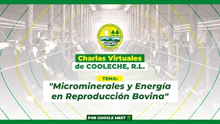 quotMicrominerales y Energía en Reproducción Bovinaquot [upl. by Michaelina646]