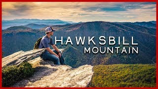 Linville Gorge  Hawksbill Mountain [upl. by Anitselec]