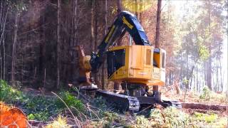 Feller Buncher Tigercat L830C [upl. by Acemat]