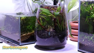 How to Build a No Filter Ecosystem Jar Ikea Vase [upl. by Gary]