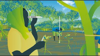 Mangrove Restoration  series  Video 4  Sustaining Mangroves Bahasa [upl. by Rebor]