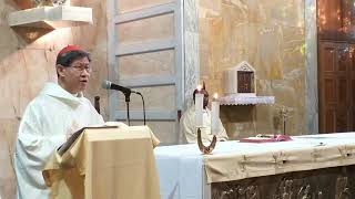 Mass with Cardinal Tagle Feast of the Annunciation March 25 2020 [upl. by Kelwin]